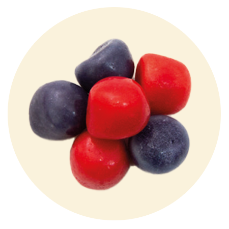 Pastilpose 10 gram - Skovbærtoppe