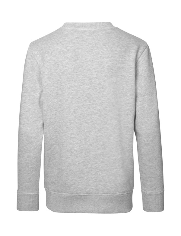 ID CORE O-neck sweatshirt, børn-Grå