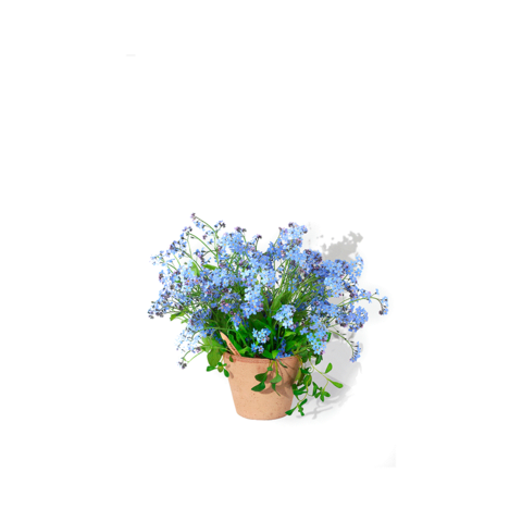SPROUT Blyant med kort - Print-Forglem mig ej