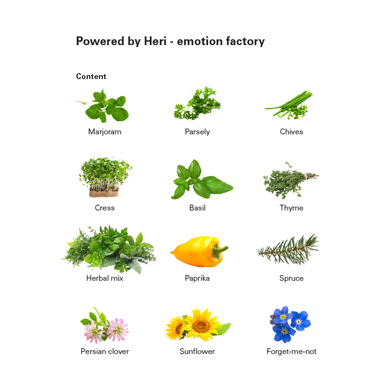 Julekalender med Frøposer - Design Selv - Certificeret karton-Smagsvarianter