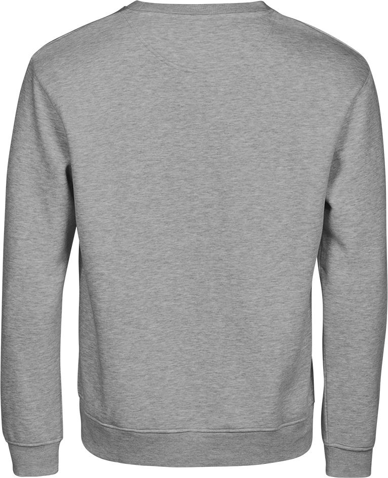 TEE JAYS Urban Sweatshirt - Økologisk Bomuld-Lysegrå