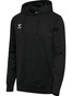HUMMEL 2.0 Hoodie, Herre - Økologisk Bomuld - Sort