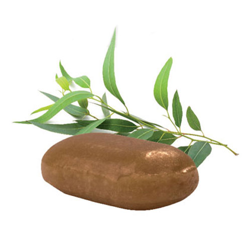 Bolcher i Maxipose-Eukalyptus