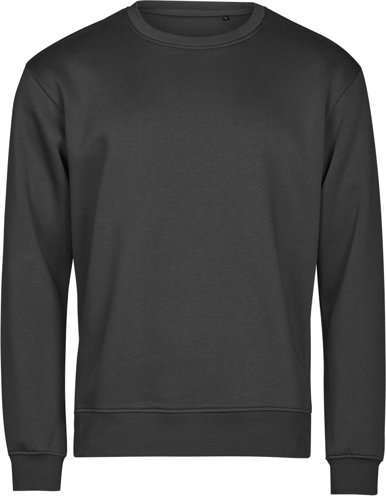 TEE JAYS Urban Sweatshirt - Økologisk Bomuld-Sort