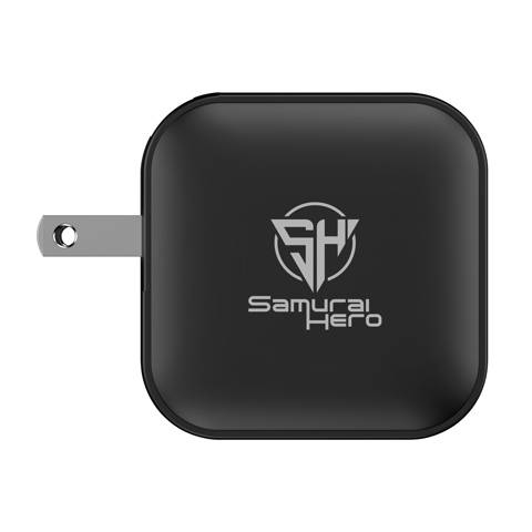 Urban Vitamin Santa Cruz RCS rplastc 70W GAN oplader-