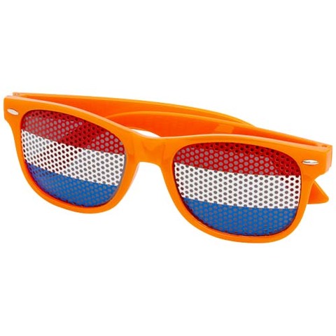 Vision solbriller