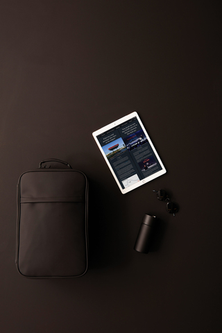 VINGA Baltimore travel rygsæk-
